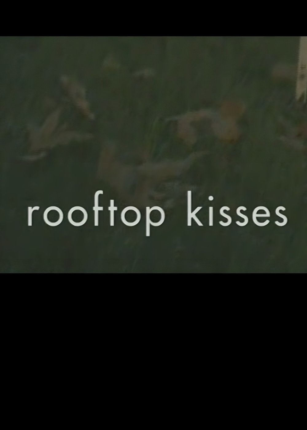 Постер Rooftop Kisses